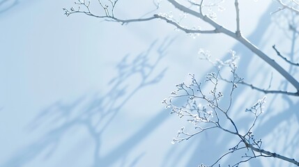 Wall Mural - Minimalistic abstract gentle light blue background for product presentation with light and intricate shadow from tree branches on wall : Generative AI