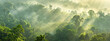 © Welle Photos - Dense forest landscape with fog and sunlight, panoramic view of the jungle canopy at dawn.