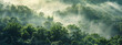 © Welle Photos - Dense forest landscape with fog and sunlight, panoramic view of the jungle canopy at dawn.