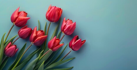 Wall Mural - A Bouquet of Red Tulips on a Blue Background