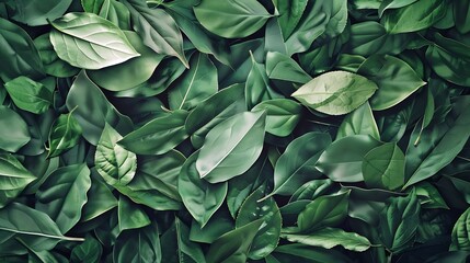 Aufkleber - Creative layout made of green leaves Flat lay Nature concept : Generative AI