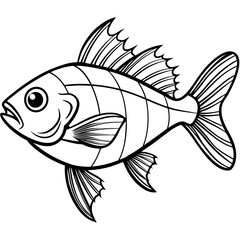 Black and white illustration of fish vector, white background