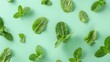 © Tida - Fresh mint leaves on green background - A top view of multiple fresh mint leaves spread on a uniform green background, suggesting freshness and natural ingredients