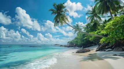 Tropical Paradise Beach 