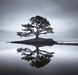 © Watcharakorn - tree in water, landscape, sky, trees, river, sunset, reflection, blue, pine, fog, sea, forest, summer, clouds, sun, green
