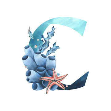 Capital letter C, part of the Latin alphabet decorated in a wet theme with corals, shells, algae, bubbles, blue and coral colors. Hand drawn watercolor illustration. Element isolated from background.