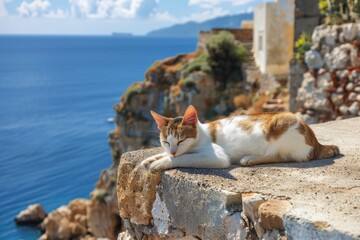 Poster - A domesticated cat is lounging on the edge of a stone wall, its fur blending with the natural colors of the surroundings
