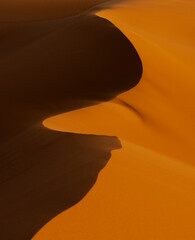 Sticker - vertical view of sand dunes with gentle curves and interplay of light and shadow