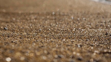 Close-up of wet sand, gentle natural light, smooth and compact with tiny pebbles. 