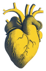 Poster - PNG Realistic heart yellow blue creativity.