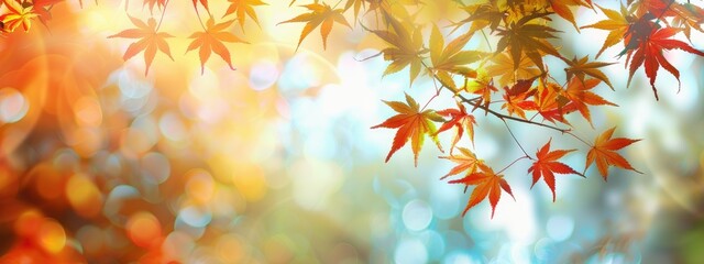 Wall Mural - Capture maple leaves on blurred nature background 