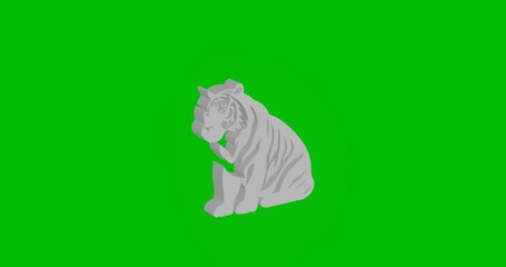 Poster - Animation of rotation of a white sitting tiger symbol with shadow. Simple and complex rotation. Seamless looped 4k animation on green chroma key background