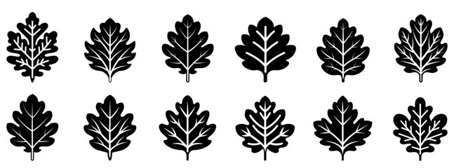 Wall Mural - Oak leaf icon. Set of oak leaves icons. Vector illustration. Leaf vector icons. Black leaves icons