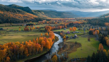 Wall Mural - Aerial View of Autumn Forest and Village in the Mountains