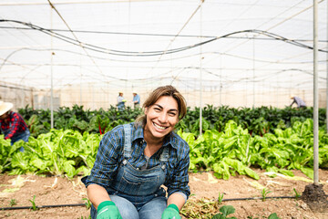 happy latin farmer working inside agricultural greenhouse - farm people lifestyle concept