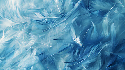 blue feather background, bird close up