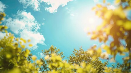 Walnut leaves in front of blue sky with white clouds and sun rays.  Blue sky background with clouds, sunlight with a tree and green leaves,  blur image 
