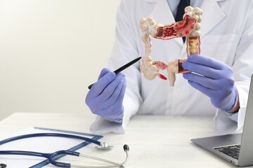 Wall Mural - Doctor showing model of large intestine at white wooden table, closeup