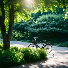 Wall Mural - Bicycle