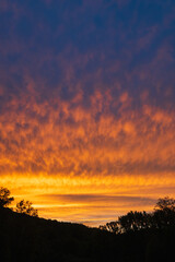 Wall Mural - dramatic sunset sky with tree land silhouette. czech landscape