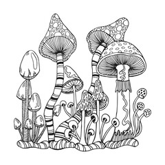 Wall Mural - Hand drawn magic poisonous mushrooms. Illustration for coloring book, sketch, vector