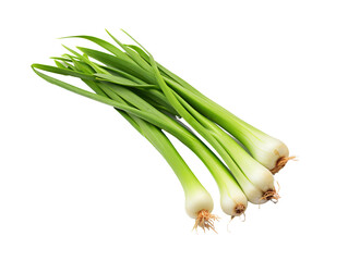 a bunch of green onions