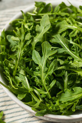 Poster - Organic Raw Green Arugula Rocket