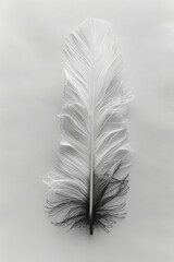 Aufkleber - Minimalist shot of a string art feather, with white and black threads on a clean backdrop,