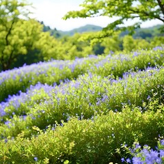 Wall Mural - pictures of Korea's natural background