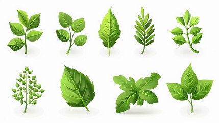Wall Mural - green leaf icons set, white background, 16:9