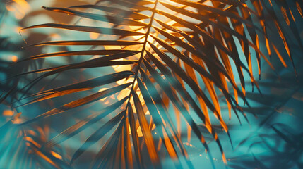 Palm Leaves and sun and water reflection