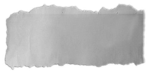 Wall Mural - piece of torn paper isolated on plain background