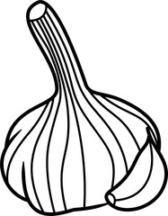 Wall Mural - Garlic outline illustration vector