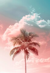 Poster - palm tree on the beach