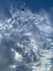 Wall Mural - clouds in the sky