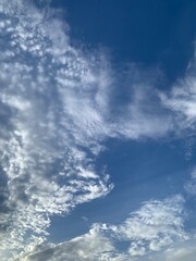 Wall Mural - blue sky with clouds