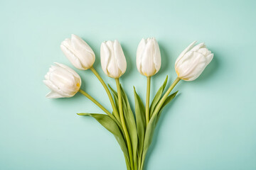 Sticker - White tulips on a mint green background