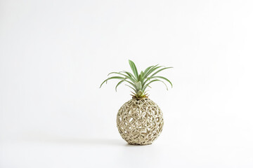 Poster - Air Plant in a White Sphere