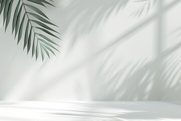 white foliage plant tree shadow design nature background light sunlight silhouette texture palm wall leaves sunny botany effect jungle pattern tropic environment abstract
