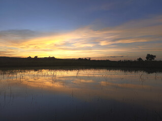 Wall Mural - swamp at sunset tranquil scene nature background