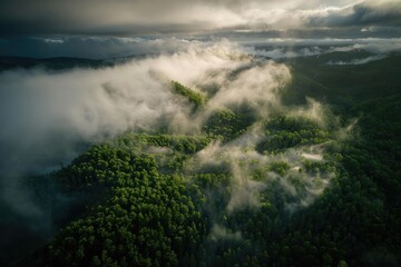 Wall Mural - Aerial view of misty forest landscape with dramatic clouds and sunlight breaking through, capturing the beauty and tranquility of nature.