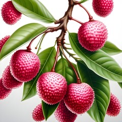 Sticker - Litchi isolated on white background