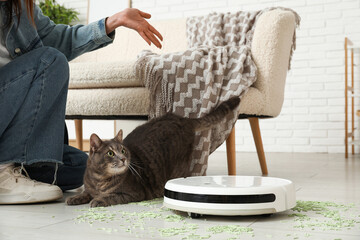 Poster - Woman with cute cat, modern robot vacuum cleaner and scattered litter at home