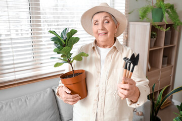 Sticker - Senior gardener with plant and tools at home