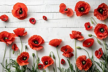 Wall Mural - red poppies flowers border frame on white wooden background top view, beautiful floral template with copy space