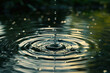 © Sudarshana - transparent water surface with ripples and patterns of circles with live shot of drop falling on clear water