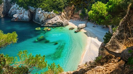 Wall Mural - hidden beach with golden sands and sparkling, turquoise waters AI generated