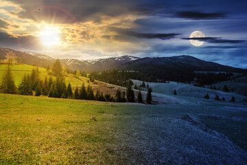Wall Mural - mountain landscape with sun and moon at spring equinox. meadow on the hill with coniferous forest. day and night time change concept. mysterious countryside scenery in morning light