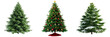 © Luckygraphics - Collection of christmas Trees with Snow isolated on transparent or white background