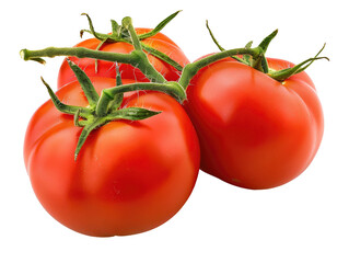 Wall Mural - Three ripe red tomatoes are shown on a white background